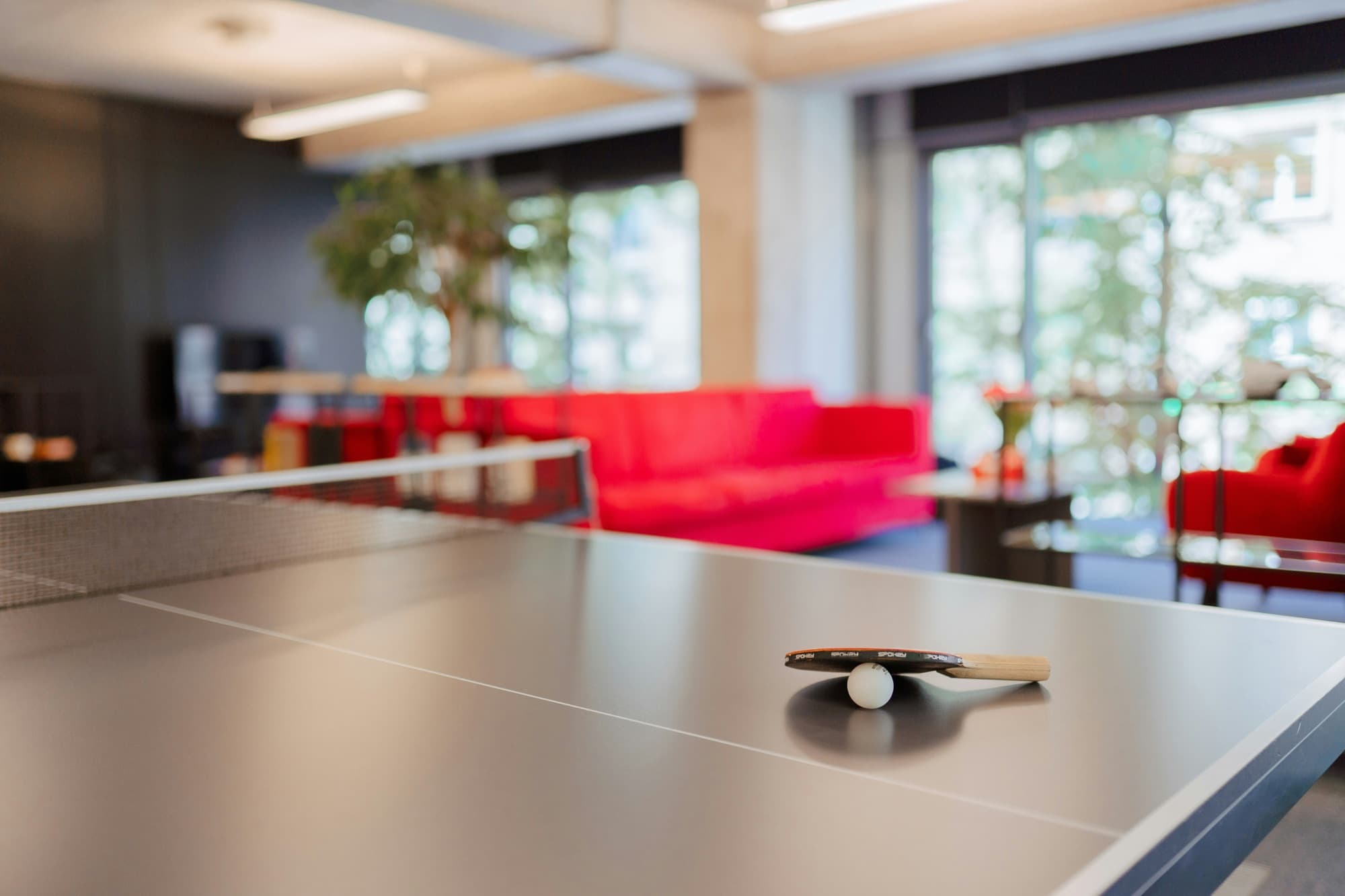 A paddle and ball resting on a table tennis table